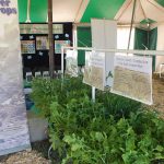 Agricultural shows and events South Africa