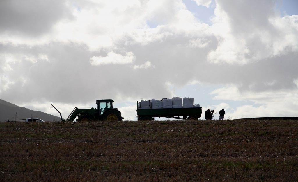 Fertilizer in South Africa