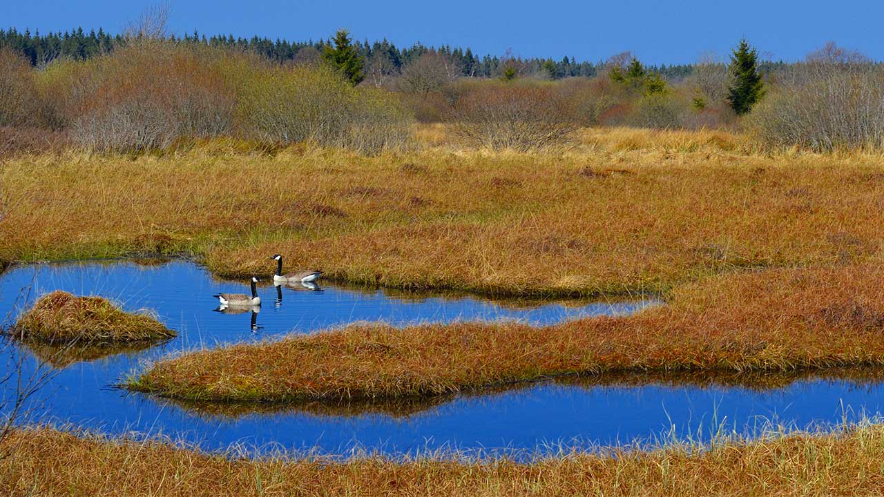 Wetlands in South Africa