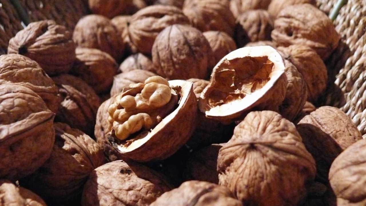 Tree nuts in South Africa