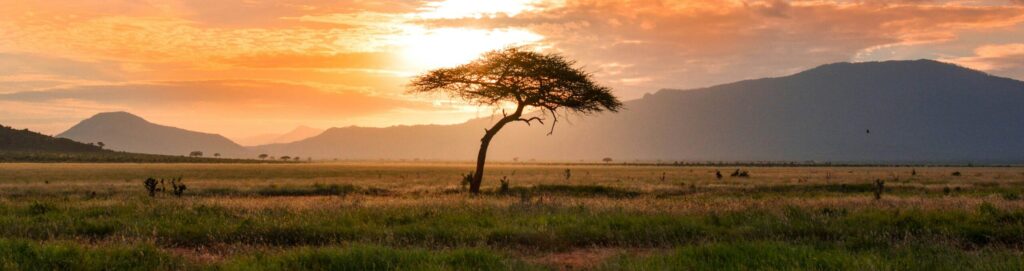 Climate change in Africa